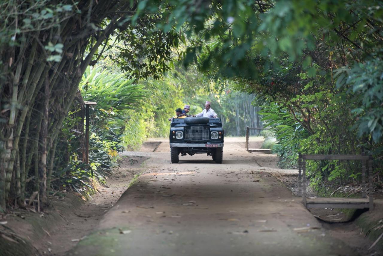 Tiger Tops Tharu Lodge Chitwan Exterior foto