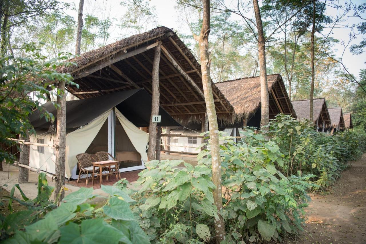 Tiger Tops Tharu Lodge Chitwan Exterior foto