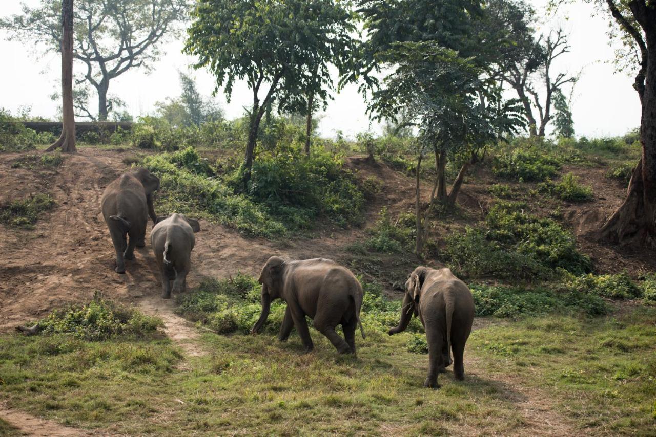 Tiger Tops Tharu Lodge Chitwan Exterior foto