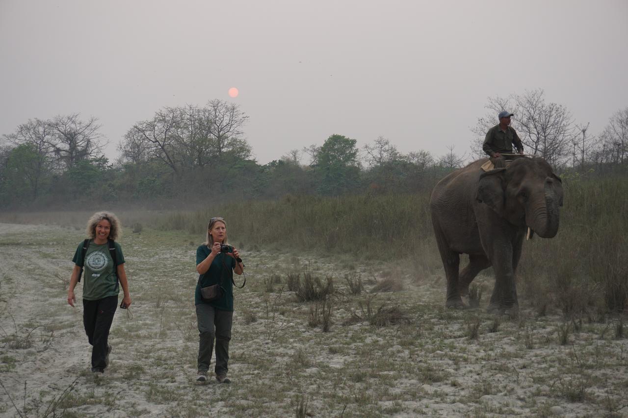 Tiger Tops Tharu Lodge Chitwan Exterior foto