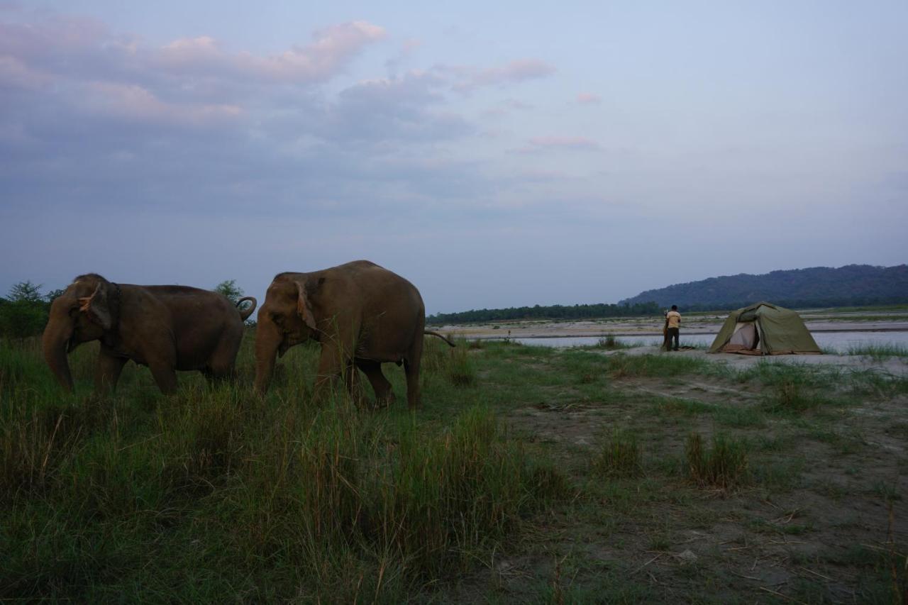 Tiger Tops Tharu Lodge Chitwan Exterior foto