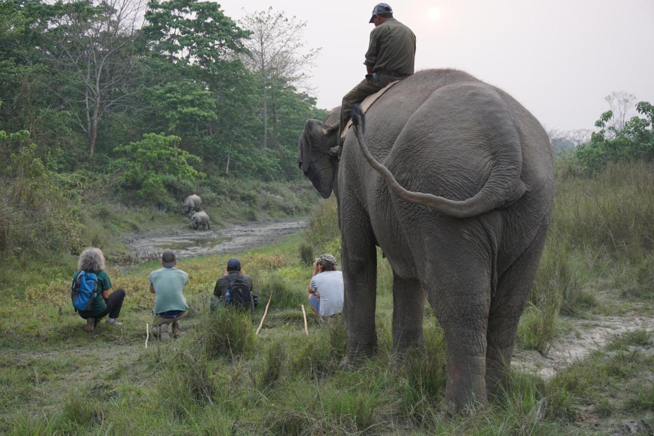 Tiger Tops Tharu Lodge Chitwan Exterior foto